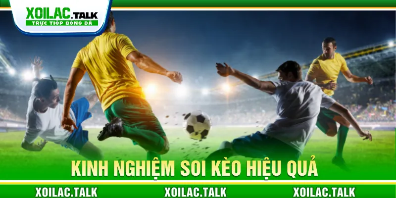 Một số kinh nghiệm dành cho người mới tham gia