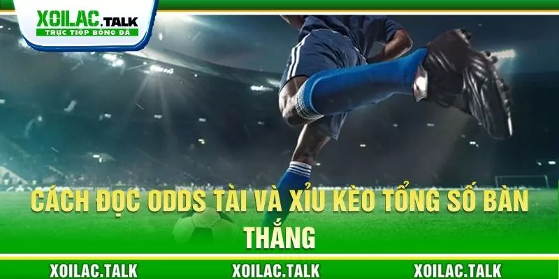 Cách đọc odds tài và xỉu kèo tổng số bàn thắng