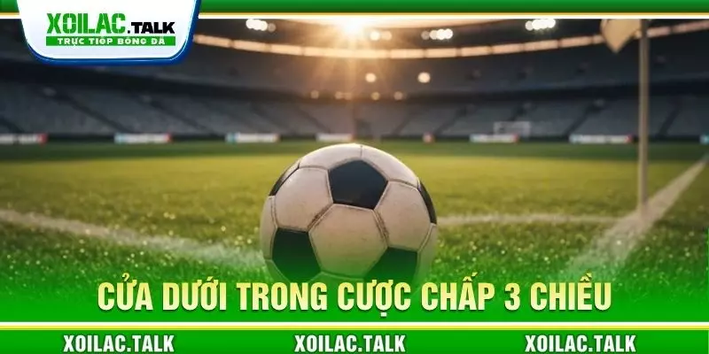 Cửa dưới trong cược chấp 3 chiều