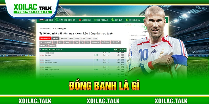 đồng banh là gì