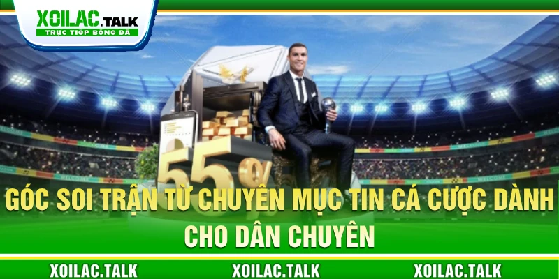 Góc soi trận từ chuyên mục Tin cá cược dành cho dân chuyên