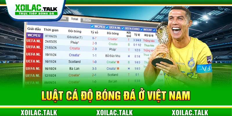 luật cá độ bóng đá ở Việt Nam