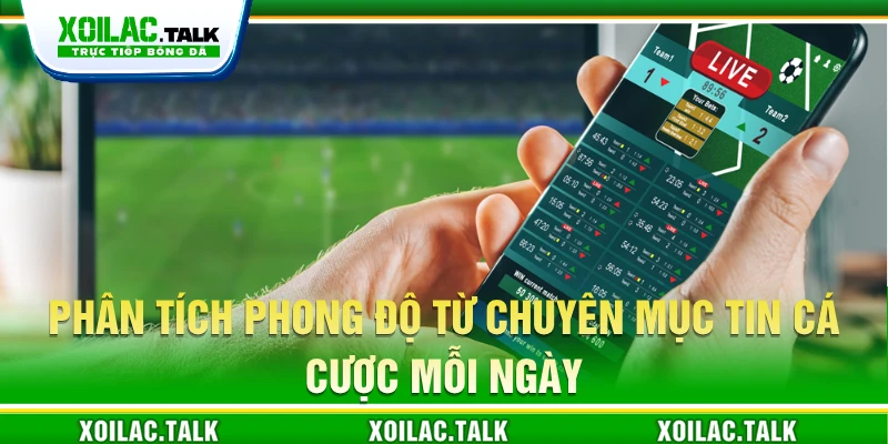 Phân tích phong độ từ chuyên mục Tin cá cược mỗi ngày