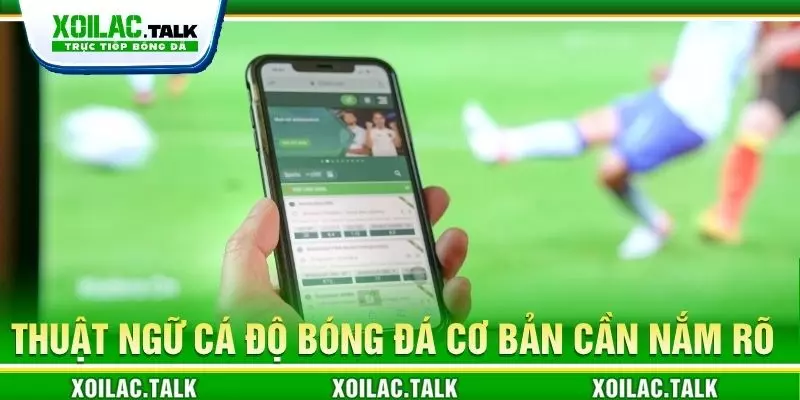 Thuật ngữ cá độ bóng đá cơ bản cần nắm rõ