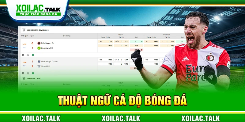 thuật ngữ cá độ bóng đá